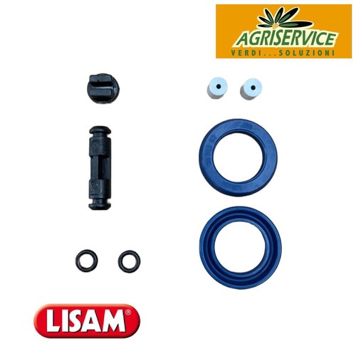 Kit ricambi guarnizioni lisam - guarnizioni,