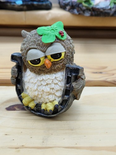 Owl chouette búho eule - chouette,