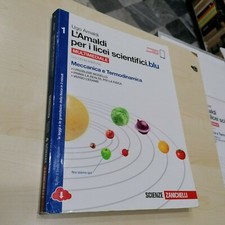 L'Amaldi per i licei