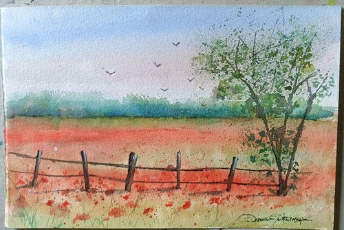 Campo papaveri acquerello - campo,
