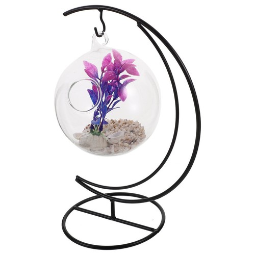 Betta tank trasparente - ,