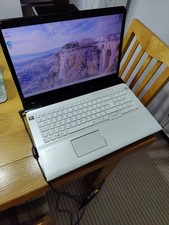 Sony SVE1713S1EW 17,3 pollici