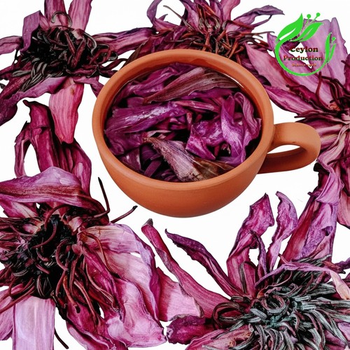 Fiore loto rosso - fiore, di