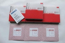 Segmentation MAHLE Clio 16S