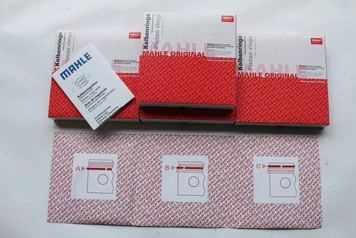Segmentation mahle clio 16s - segmentation,