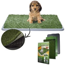 Lettiera maxi per cani - lettiera,