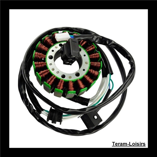 Statore alternatore per yamaha - per,