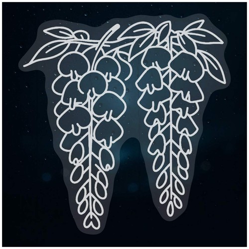 Piante glicine - 'piante, glicine'