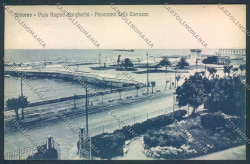 Livorno città terrazza ciano - città,