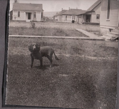 Vintage photograph hunting - vintage,