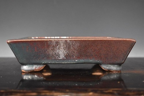 Vaso bonsai giapponese