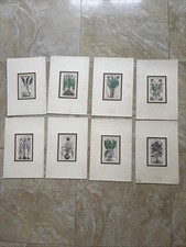 2º Lotto Otto Stampe Di