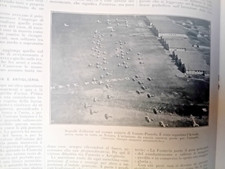 aereoporto LONATE POZZOLO