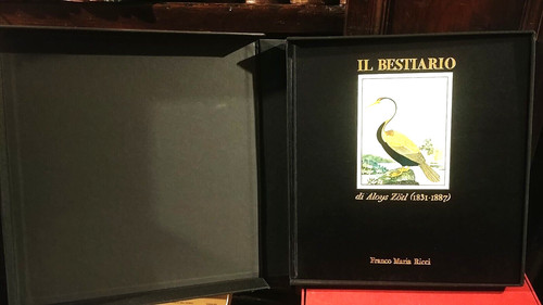 Bestiario aloys zotl - il,
