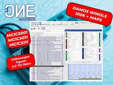 Damos Winols centralina