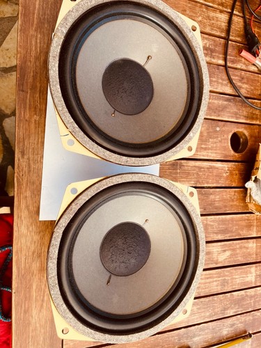 Paire woofers wigo - de, 24