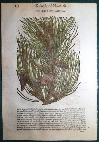 Stampa antica mattioli - stampa,
