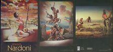 SERGIO NARDONI DEPLIANS OPERE QUADRI