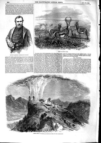 Vecchia stampa antica