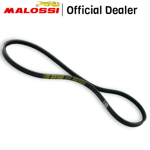 Malossi 617314 cinghia - 617314,