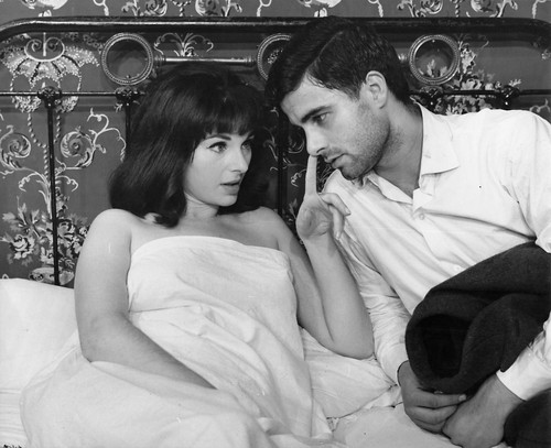 Parapluies cherbourg photo - de,