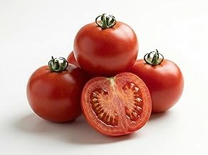 Semi pomodoro tondo liscio - semi,