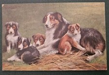 Cartolina illustrata cani - cartolina,