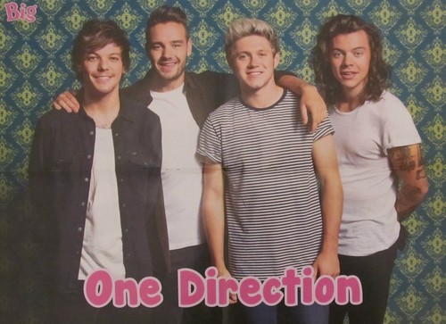 One direction fedez poster - fedez,