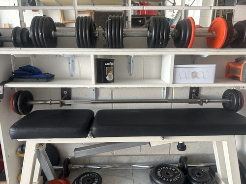 Panca tecnogym professionale - panca,