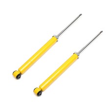 2 Ammortizzatori Sportivi