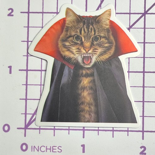 Costume vampiro gatto gattino
