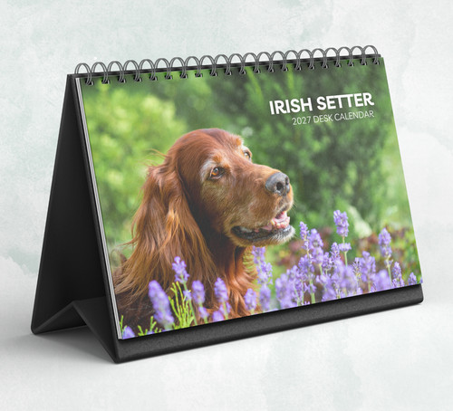 Calendario scrivania setter - scrivania,