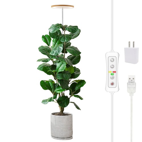 Luce coltivazione per - luce, di
