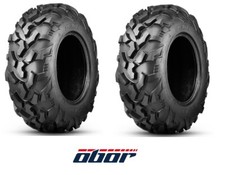 2 pneumatici 25x8-12 RIPLE