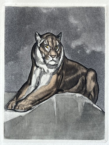 Paul jouve gravure - paul,