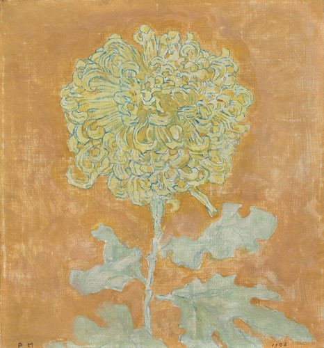 Piet mondrian crisantemo - mondrian,