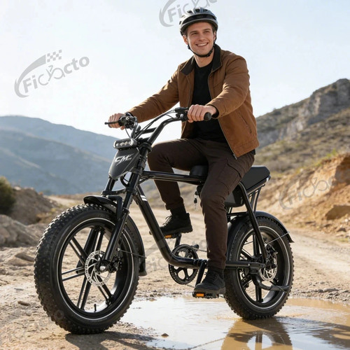Bicicletta elettrica - elettrica, 20
