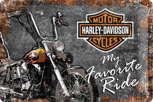 Targa vintage harley - vintage, harley-davidson