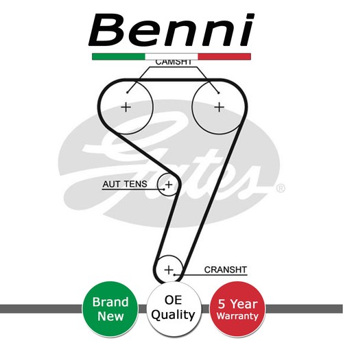 Cinghia distribuzione benni - cinghia,