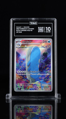 Wailord 103 100 - wailord, sv9: