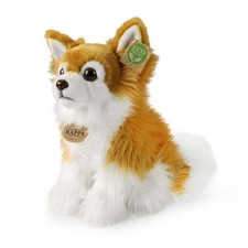 Chihuahua pelo lungo marrone