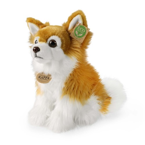 Chihuahua pelo lungo marrone