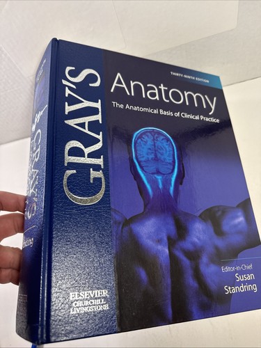 Gray anatomy the anatomical - gray's,