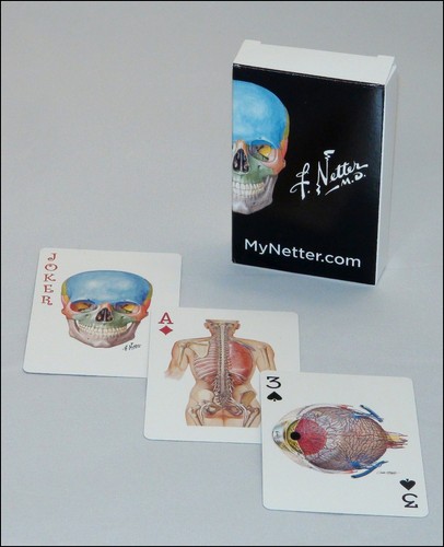 Netter playing cards - netter,