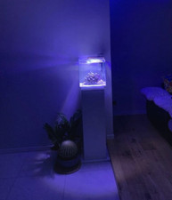 Newamore NMO 50R Acquario Reef - 50L, BIANCO  (00.85.052)+MOBILE COLONNA BIANCA