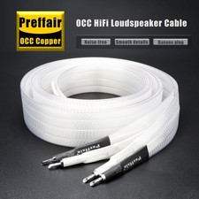 Coppia Cavo Altoparlante Rame Placca Argento Piatto Bifilo Altoparlante Connettore Banana