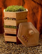 Germogliatore Geo Terradisiena