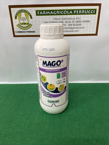 Mago coadiuvante - mago’,