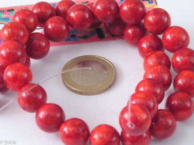 Filo corallo madrepora - 1,