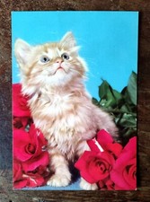 Cartolina GATTO Piccoli Milano